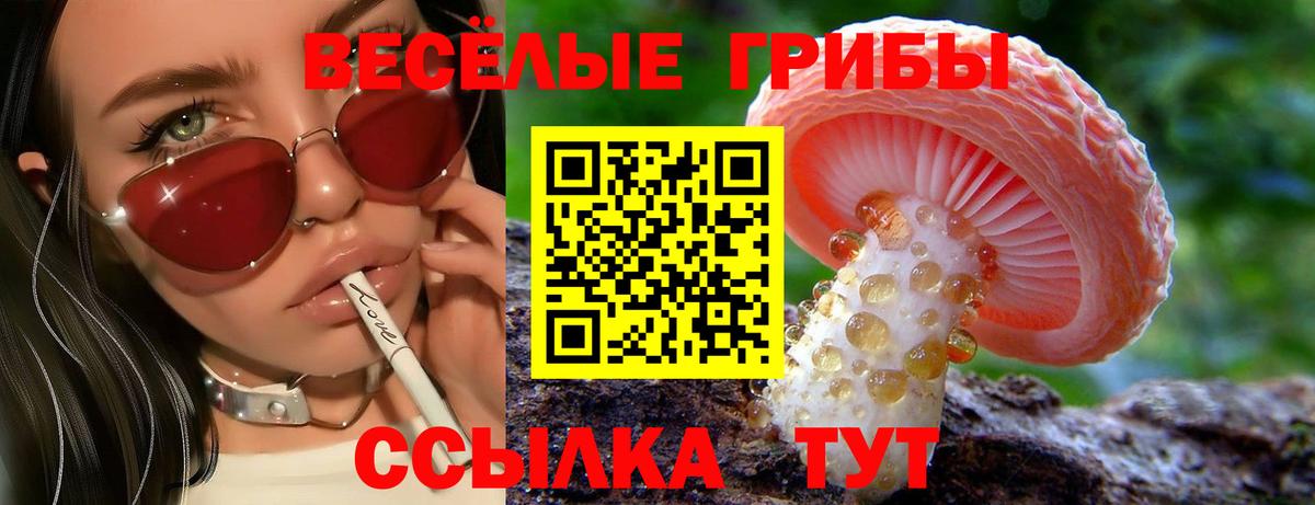 где купить   Вход с VPN  Химки  Псилоцибиновые грибы Magic Shrooms 